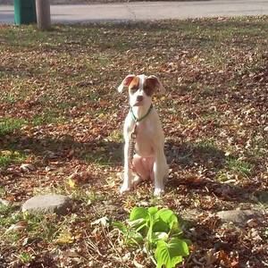 Meet your Posher, Sean